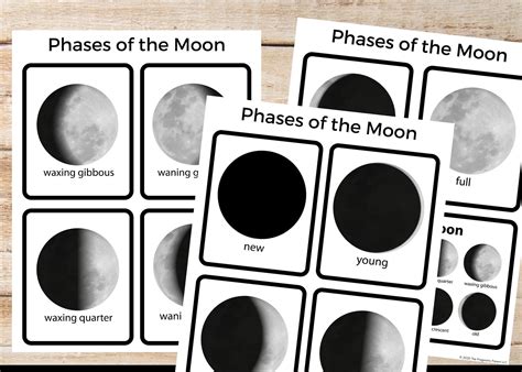 Phases Of The Moon Flashcards Moon Phases Printable Flash Etsy All In