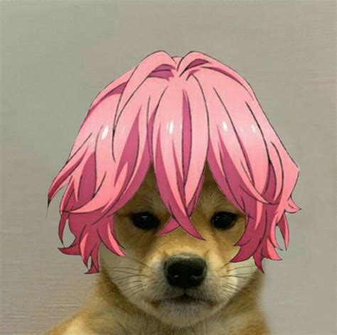 Dog Anime Aesthetic Pfp