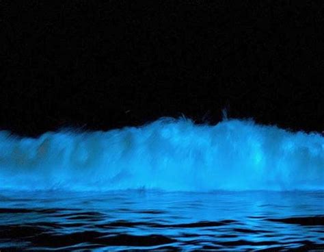 Milky Sea Ocean Surreal Photos Beautiful Ocean