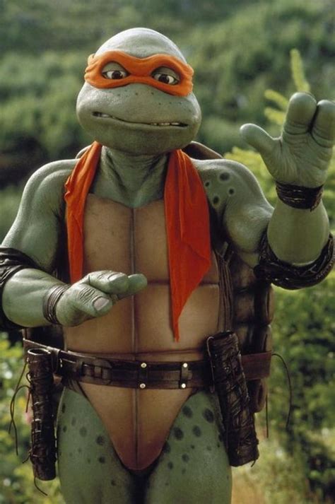 Michelangelo Teenage Mutant Ninja Turtles Movie Ninja Turtles