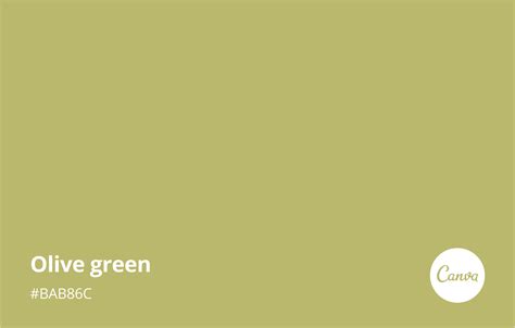 ️olive Green Color Code Asian Paints Free Download