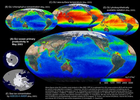 Ocean Primary Productivity Of Each Ocean Area 2004 Jaxa Earth