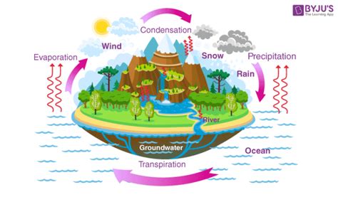Water Cycle Different Stages Of The Water Cycle And Explanation