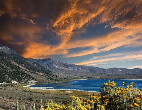 Flowers Lake Mountains Sky Photograph By Randall Branham Fine Art America
