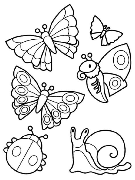Pin by Coloring Fun on Insects | Crayola coloring pages, Summer