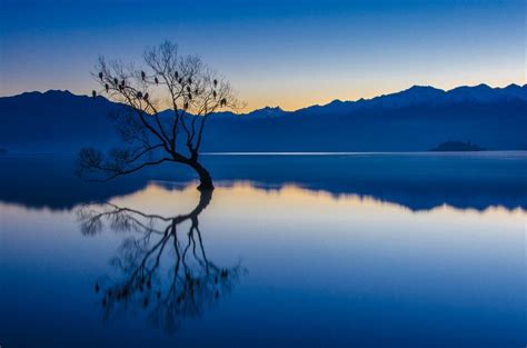 Nature Landscape Calm Blue Water Trees Lake Reflection