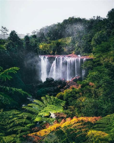 Disini kita bisa menikmati pepohonan rimbun hutan pinus, bumi perkemahan, air terjun, dan spot foto pemandangan yang. Curug Dadali Cianjur Destinasi Air Terjun Indah di Jawa ...