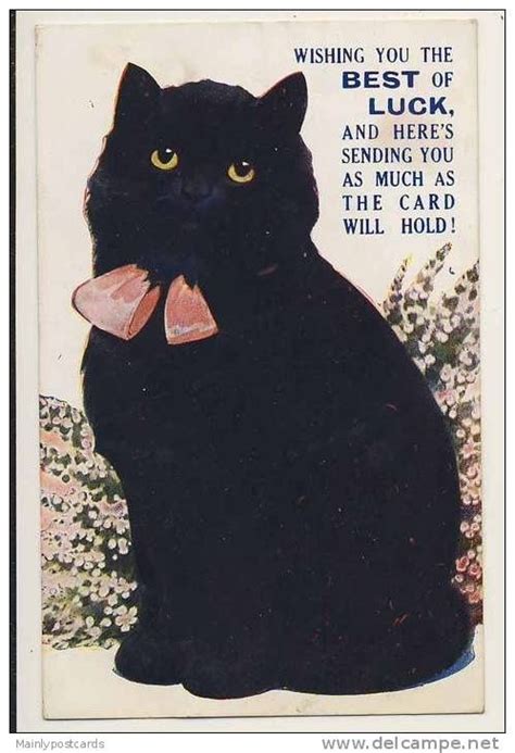 In England Black Cats Are Good Luck Black Cat Art Cute Black Cats