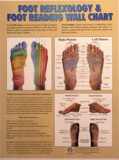 Foot Reflexology And Foot Reading Wall Chart Reflexology Charts