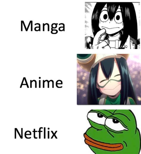 Manga Anime Netflix Adaptation My Hero Academia