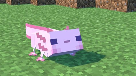 Axolotls Adventure Minecraft Animation Youtube