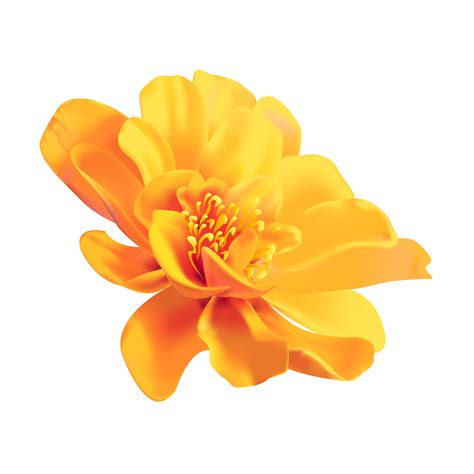 Transparent Yellow Flowers Png Free Transparent Clipart Clipartkey
