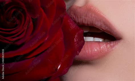Sexy Full Lips With Red Rose Gloss Of Lips And Womans Mouth Sensual Lips Stock Foto Adobe Stock