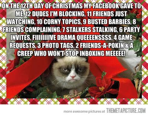 The Christmas Blog 2017 This Christmas Grumpy Cat And
