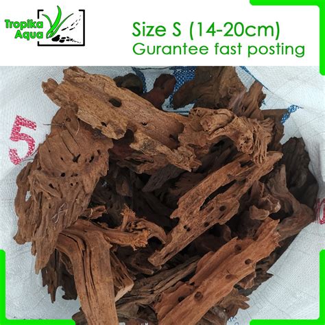 2020 popular 1 trends in home & garden, aquariums & tanks, home improvement, sports & entertainment with mini fish tank and 1. Driftwood (S 14-20cm) Malaysia for Aquarium Fish Tank ...