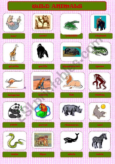 Animal Pictionary In 2020 Animals Of The World Pictionary Animals Images