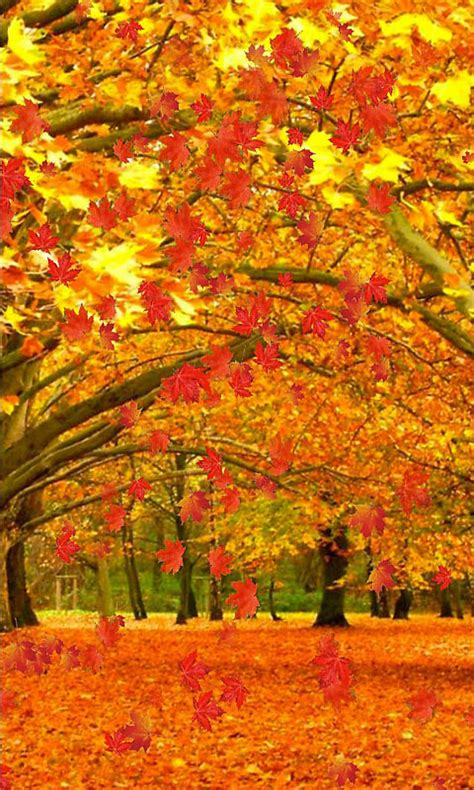 Fall Live Wallpaper And Daydream Free Android Live