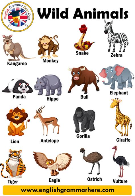 Zoo Animals Pictures With Names Chart