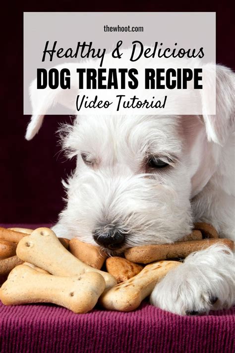 Spinach Carrot Zucchini Dog Treats Video The Whoot