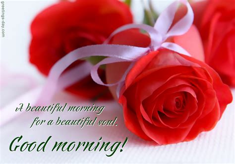 Good Morning Beautiful Daily Ecards And Pictures