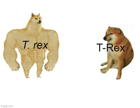 Strongest T Rex Fan Vs Weakest T Rex Enjoyer Imgflip