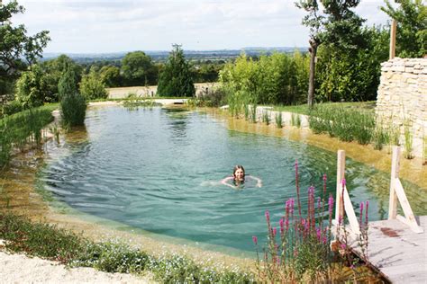 Natural Swimming Pools Let You Beat The Heat And Ditch The Chemicals