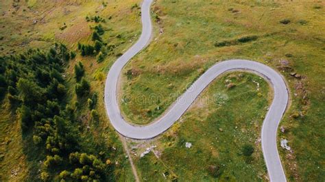 Aerial View Of Green Fields Coniferous Forest And Narrow Road In The