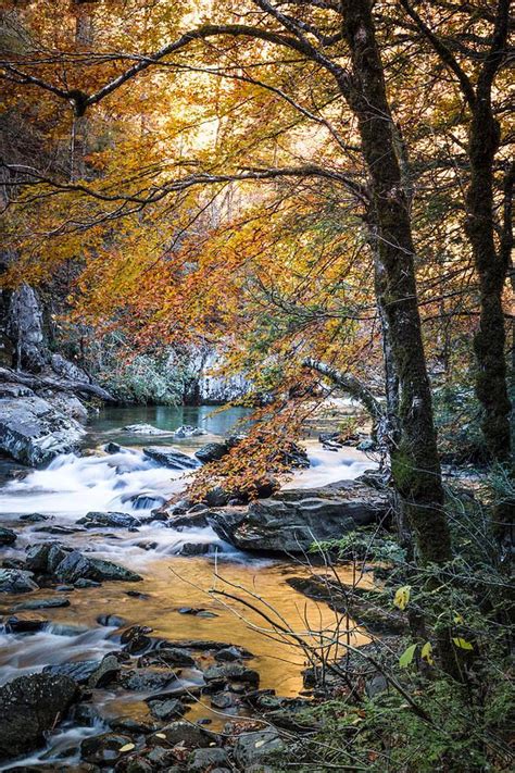 Autumn At Citico Creek Is A Photograph By Debra And Dave Vanderlaan A