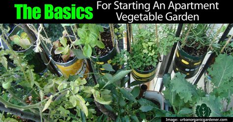 The Basics For Starting An Apartment Vegetable Garden