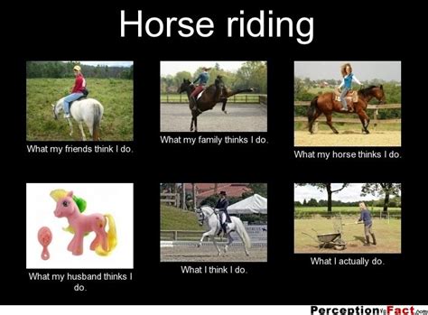 Horse Riding What People Think I Do What I Really Do Perception