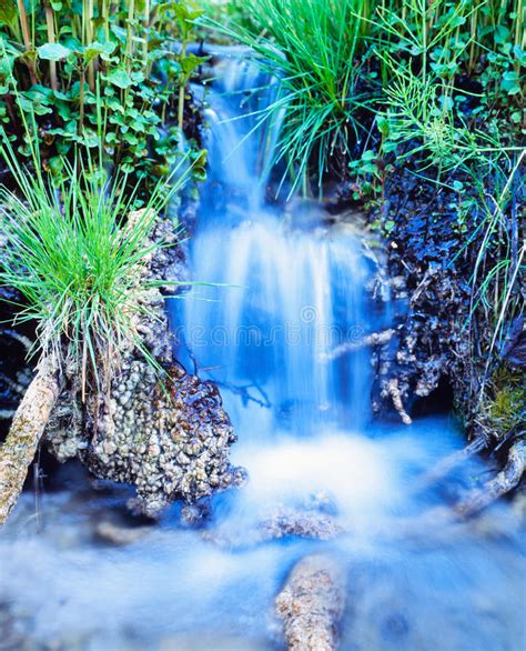 Creek Waterfall Rushing Green Meadow Grass Plants Stock Image Image