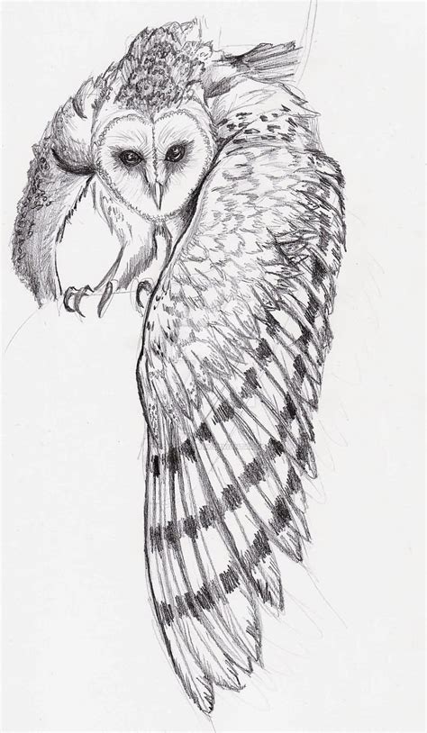 Barn Owl Tattoo Drawing