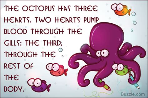 These Octopus Facts Will Surely Ignite The Curiosity Of Kids Artofit