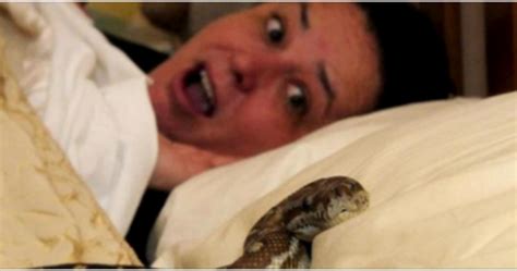 Every Night This Woman Slept Next To Her Pet Snake But Suddenly