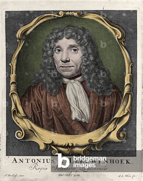 Image Of Portrait Of Antonie Van Leeuwenhoek Or Anton Van Leeuwenhoek