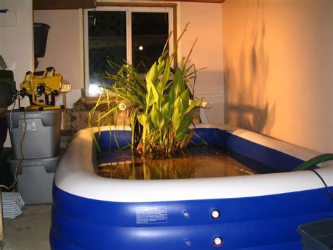 13 Best Indoor Pond Ideas Images On Pinterest Indoor Pond Indoor Water Garden And Ponds