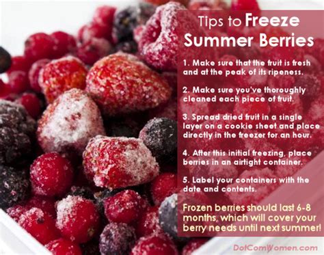 Freeze Summer Berries Now To Savor Later Dot Com Women