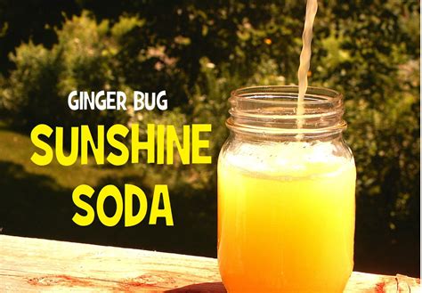 Orange Soda Made Bubbly With Ginger Bug I Cook And Paint Recipe