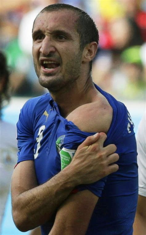 He started his senior career in 2000 with livorno and in 2004 with italy. Suarez banned nine games, out of World Cup - MaltaToday.com.mt
