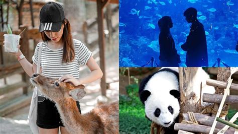 8 Best Outing Spots For Animal Lovers In Kl And Selangor Zoos Farms