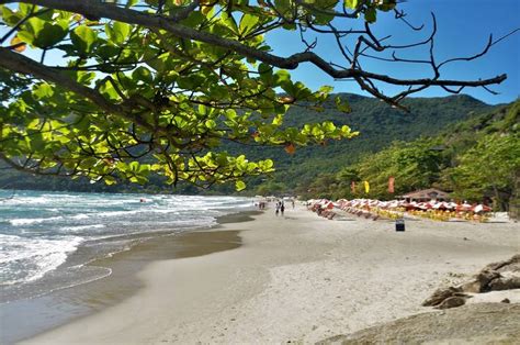 Praia Do Matadeiro Beach 2024 Guide With Photos Best Beaches To Visit In Florianópolis