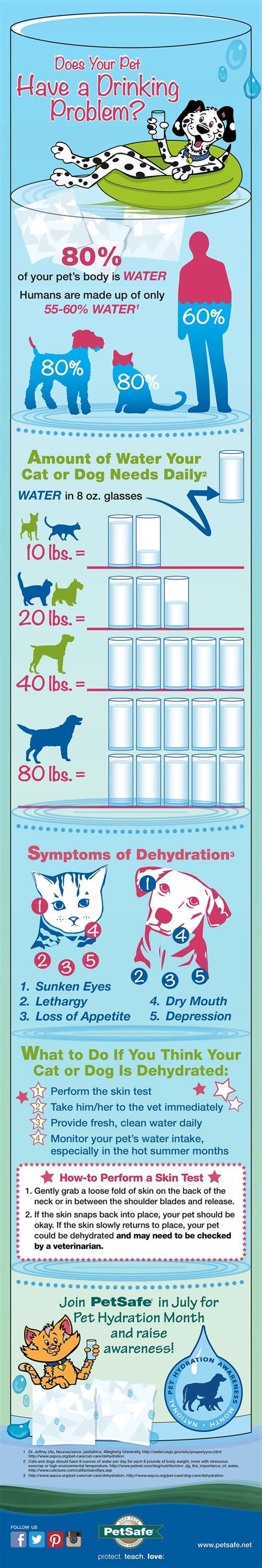 How much water should your toddler drink? How Much Water Does A Dog Need Daily? Infographic | Dog ...