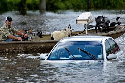 It Turns Your Heart Upside Down Flooding Crisis In Louisiana Far
