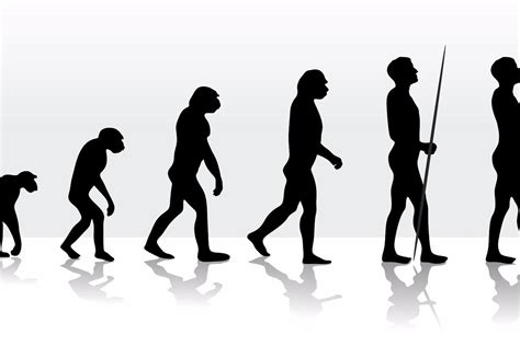 Genetic Study Finds Evidence That Were Still Evolving