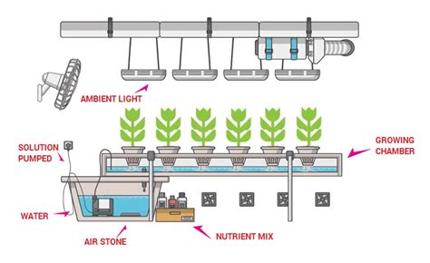 Hydroponics Using Iot Hydroponics At Scottline