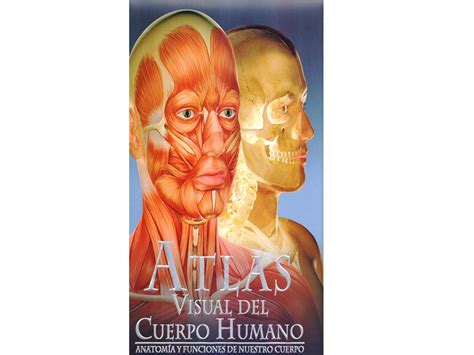 Atlas Visual Del Cuerpo Humano Anatomía Y Funciones De Nuestro Cuerpo