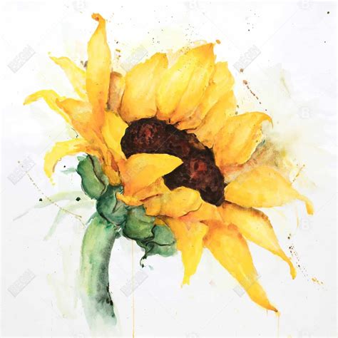 Watercolor Sunflower With Paint Splash Wall Art Begin Home Decor
