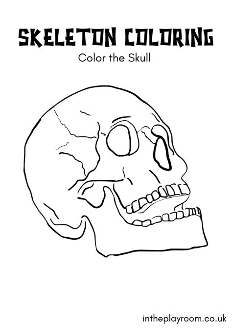 Free Printable Skeleton Coloring Pages In The Playroom