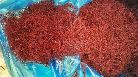 Unlike other agricultural products, saffron needs special climatic and climatic conditions and does not grow in all. iranian saffron price per gram - Saffron Momtaz ghaenat ...
