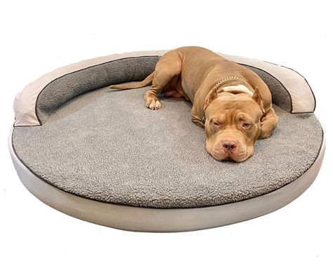 15 Best Dog Bed Options For Senior Dogs And Older Dogs Hey Djangles